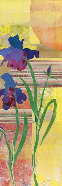 Irises: Iris I by Jenny McGee