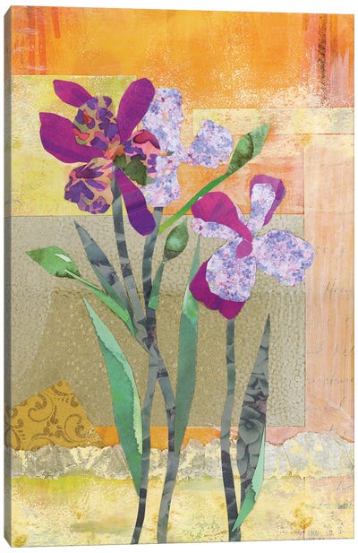 Iris V Canvas Art Print