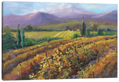 Vineyard Tapestry I Canvas Art Print - Drink & Beverage Art