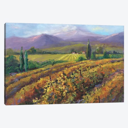 Vineyard Tapestry I Canvas Print #NNT1} by Nanette Oleson Canvas Art Print