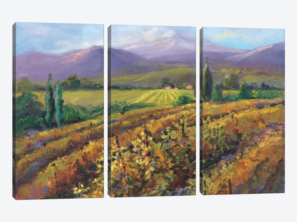 Vineyard Tapestry I by Nanette Oleson 3-piece Canvas Wall Art