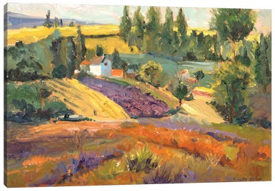 Vineyard Tapestry II Canvas Art Print - Countryside Art