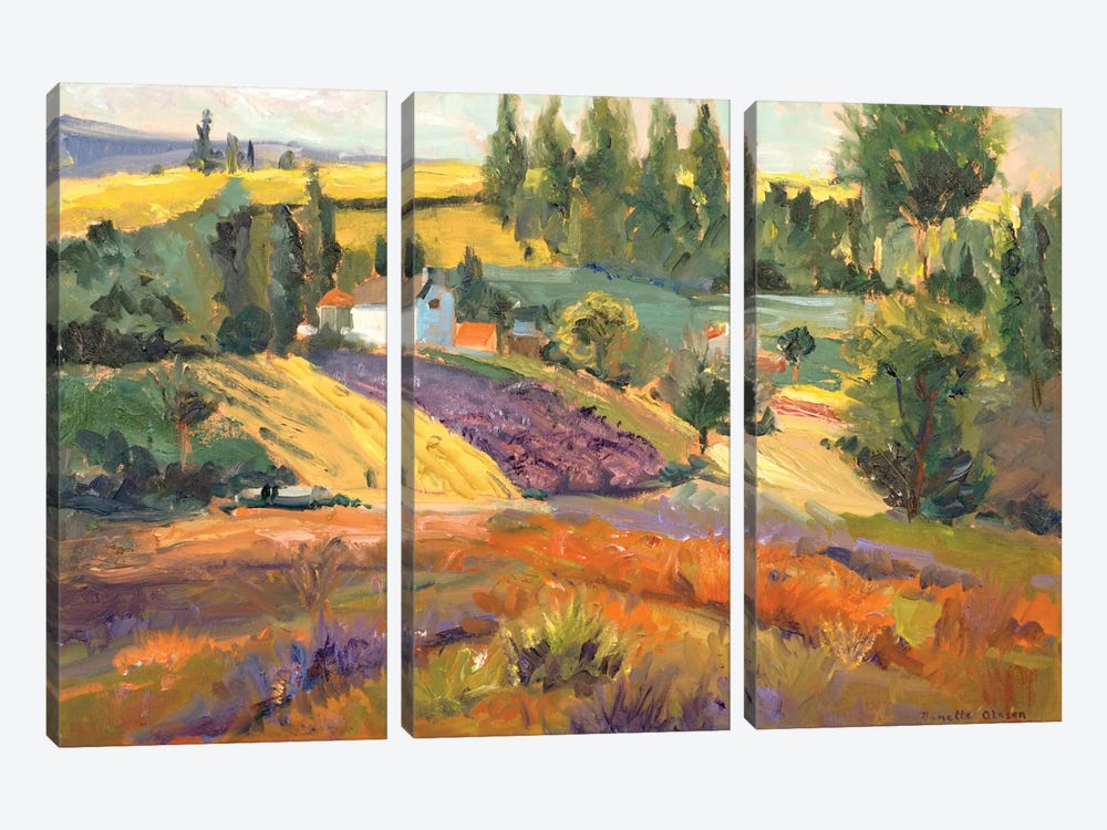 Vineyard Tapestry II by Nanette Oleson 3-piece Canvas Print