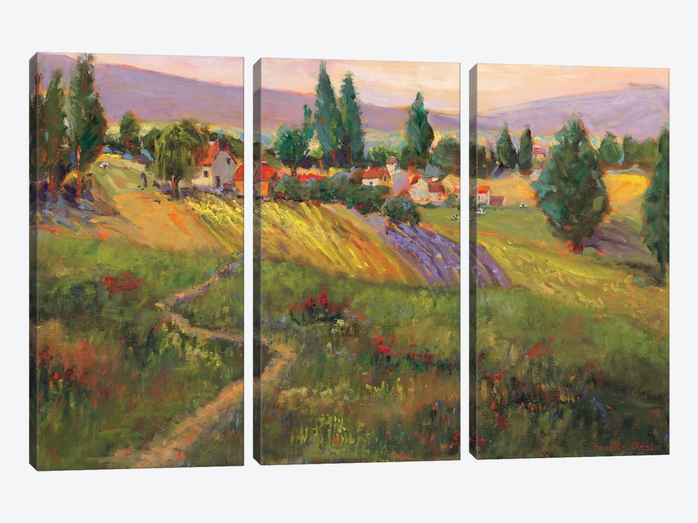 Vineyard Tapestry III by Nanette Oleson 3-piece Canvas Wall Art