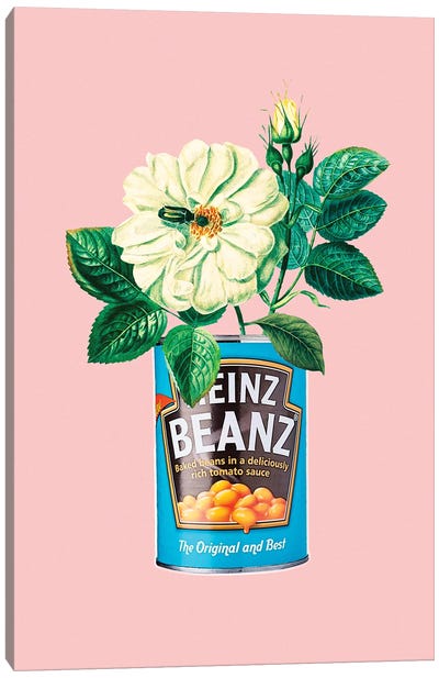 Floral Heinz Canvas Art Print - 2Toastdesign