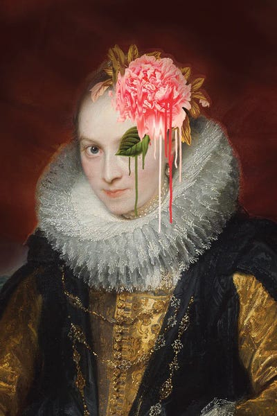 Historical Fashion: Distortion Lady by 2Toastdesign