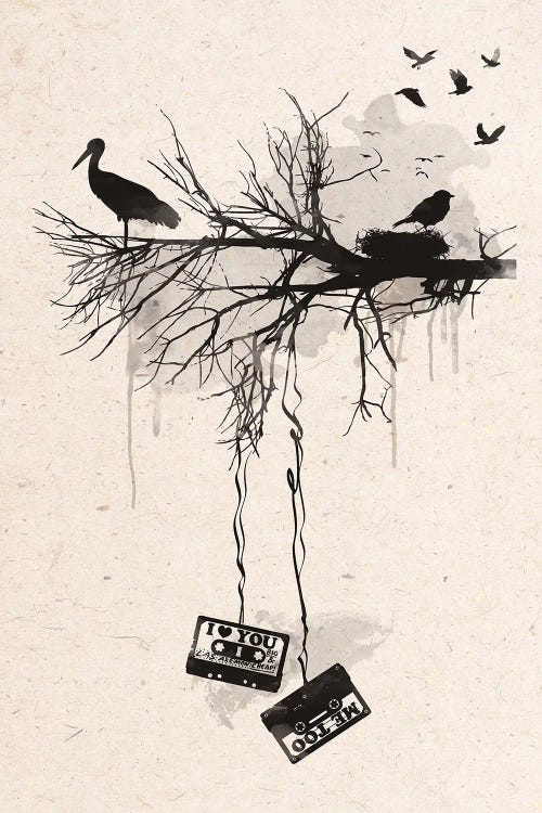 Birds And Tapes