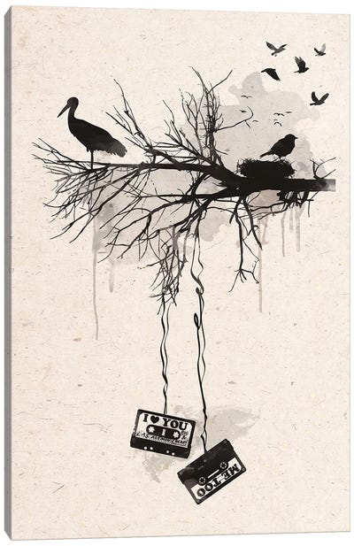 Birds And Tapes Canvas Art Print - Cassette Tapes