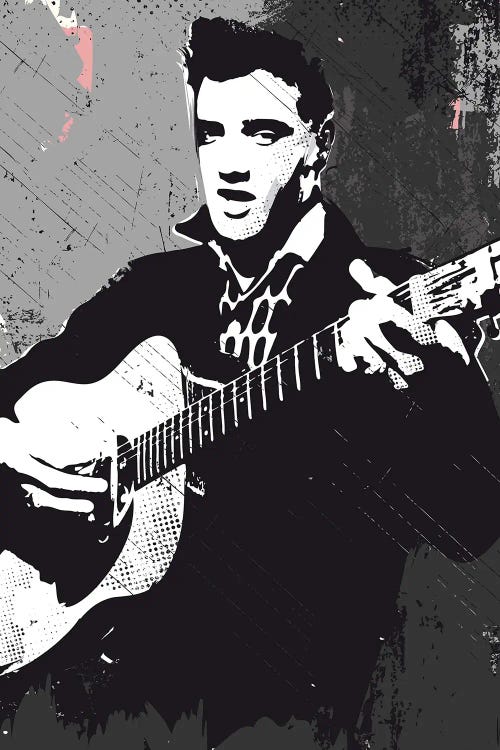 Elvis Presley Bw Art