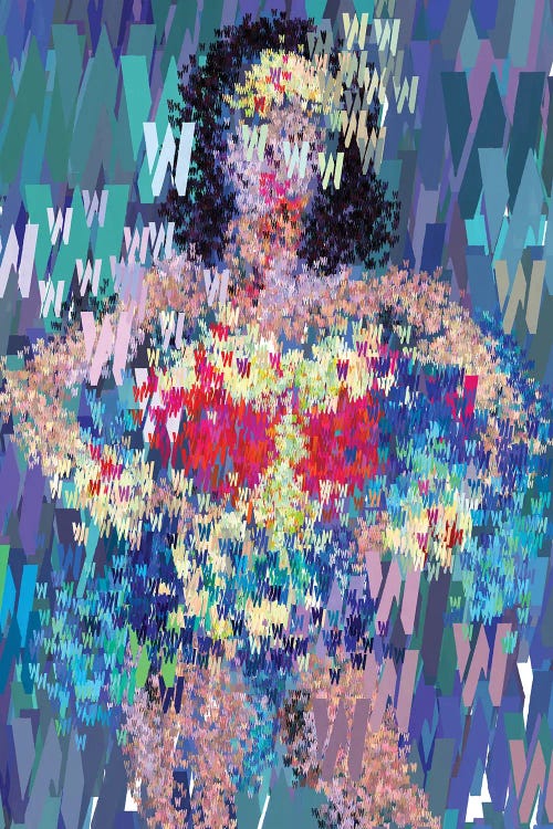 Superhero Type Art Wonder Woman