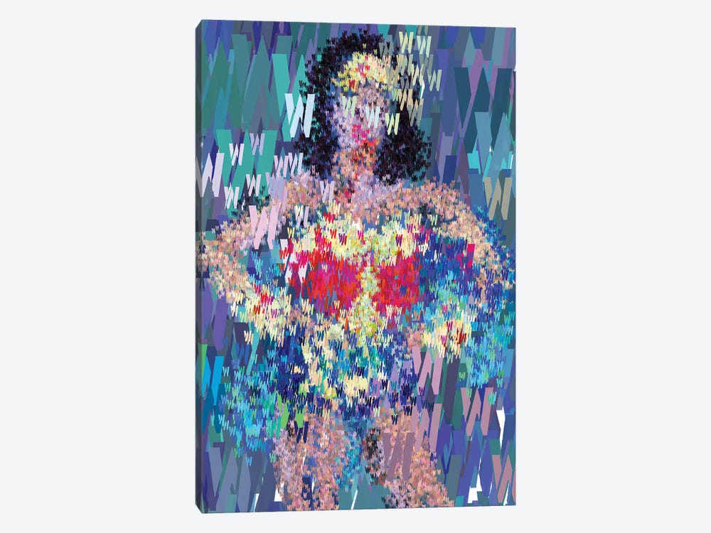 Superhero Type Art Wonder Woman by Notsniw Art 1-piece Canvas Print