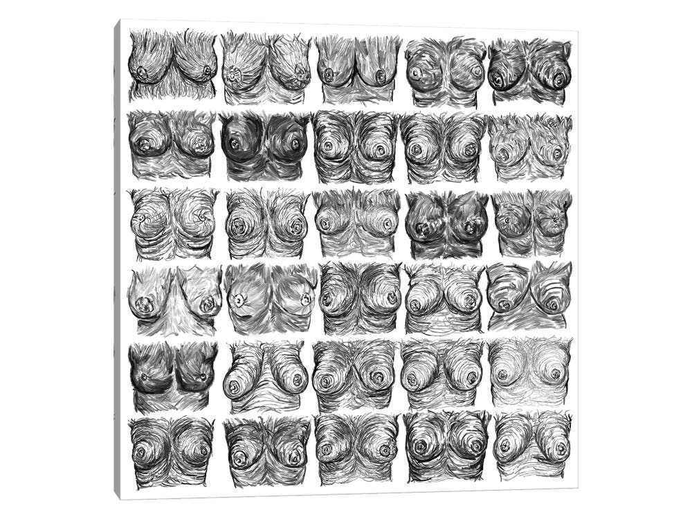 Breasts Ink Black And White Canvas Wall Art by Notsniw Art
