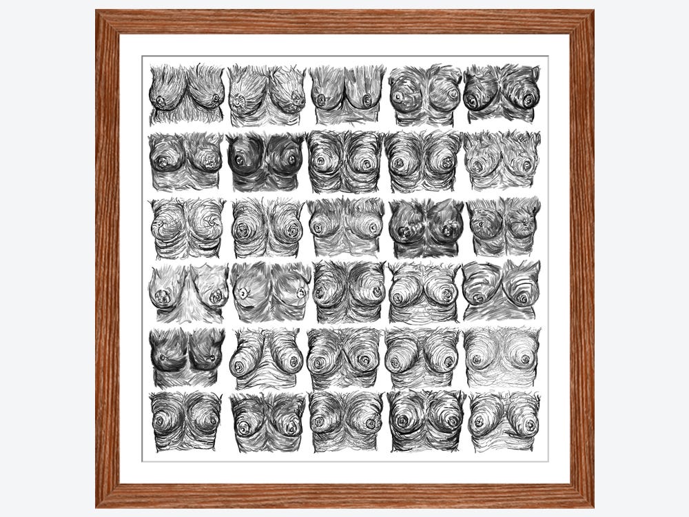Breasts Ink Black And White Canvas Wall Art by Notsniw Art