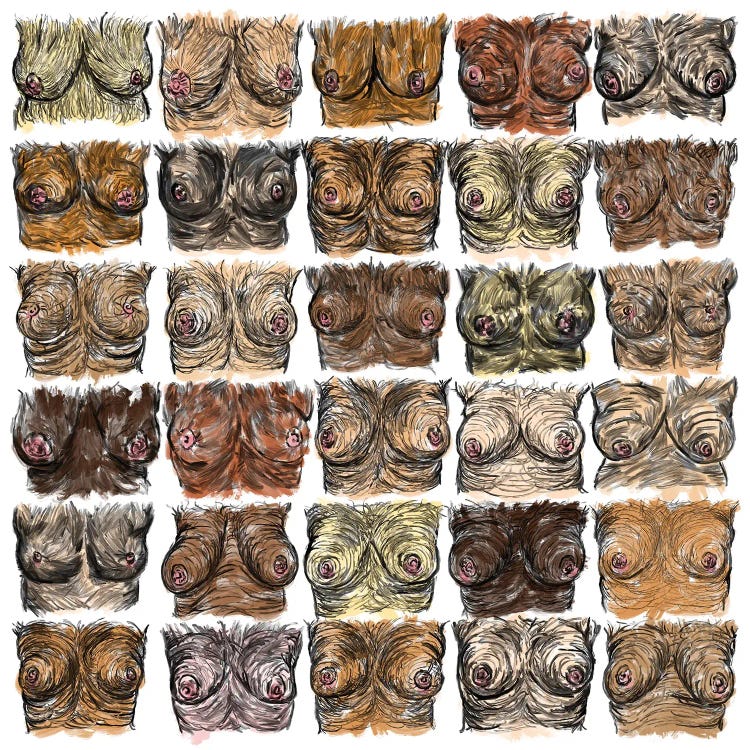 Breasts Diversity by Notsniw Art wall art