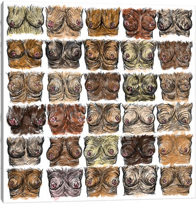 Breasts Diversity Canvas Art Print - Notsniw Art