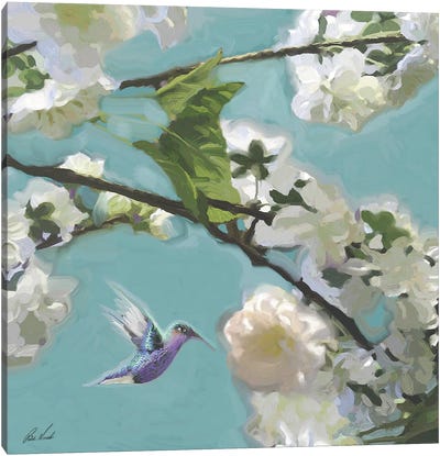 Hummingbird Florals II Canvas Art Print