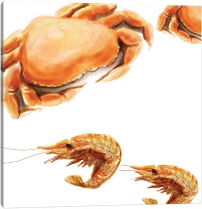 Illustrated Crab Canvas Art Print
