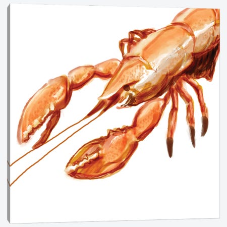 Illustrated Lobster I Canvas Print #NOV6} by Rick Novak Canvas Art Print