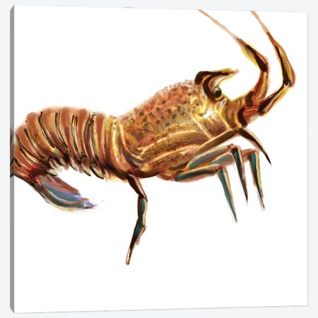 Illustrated Lobster II Canvas Print #NOV7} by Rick Novak Art Print