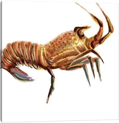 Illustrated Lobster II Canvas Art Print