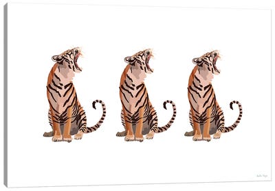 Tiger Trio Canvas Art Print - Amelia Noyes