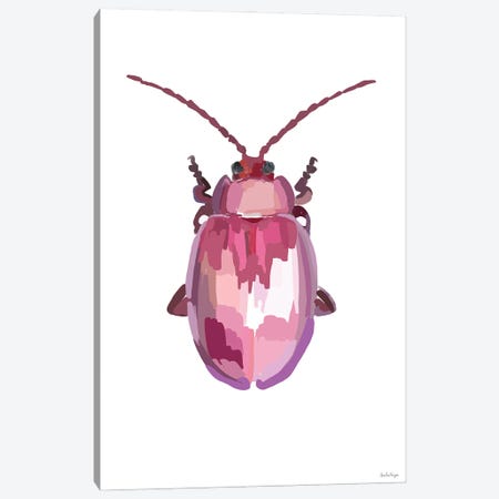 Beetle II Canvas Print #NOY13} by Amelia Noyes Canvas Art
