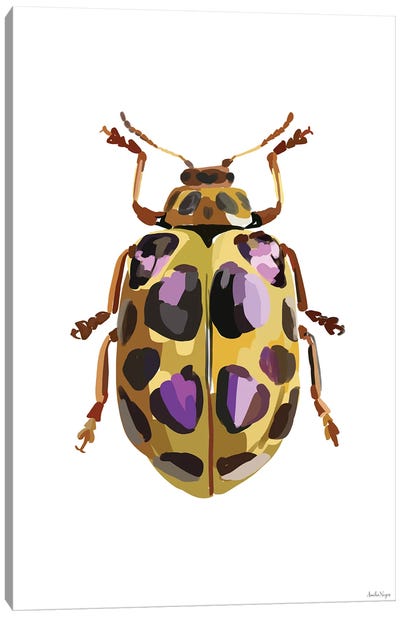 Beetle III Canvas Art Print - Amelia Noyes