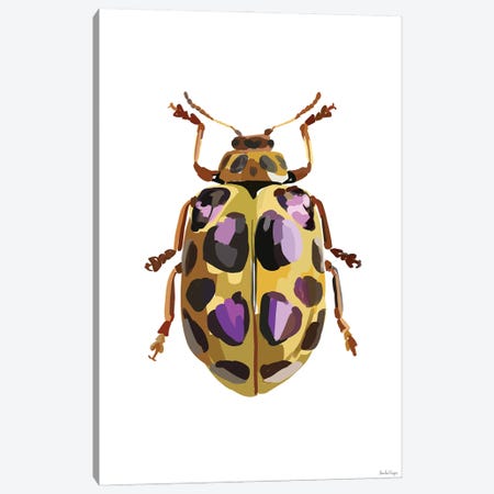 Beetle III Canvas Print #NOY14} by Amelia Noyes Canvas Art Print