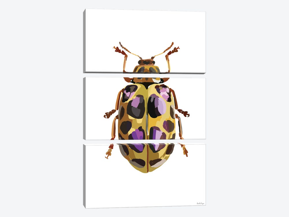 Beetle III by Amelia Noyes 3-piece Canvas Artwork