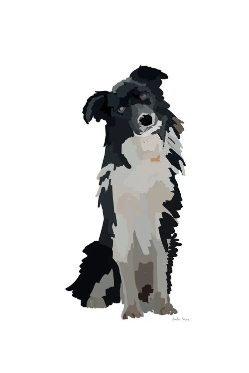 Black And White Pup by Amelia Noyes wall art