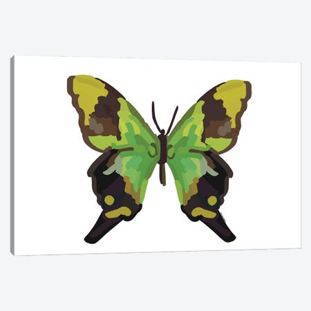 Butterfly Canvas Print #NOY21} by Amelia Noyes Canvas Art Print