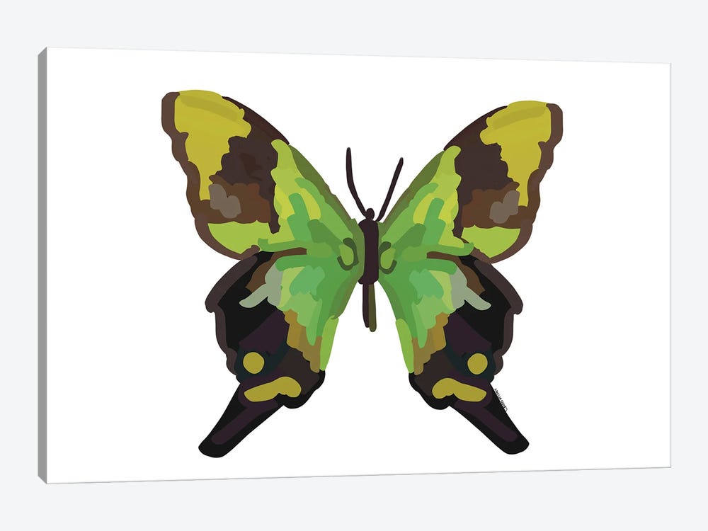 Butterfly by Amelia Noyes 1-piece Canvas Wall Art