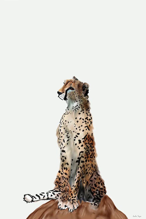 Cheetah II