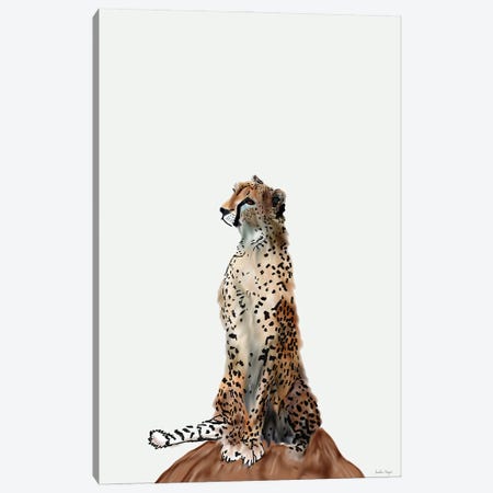 Cheetah II Canvas Print #NOY24} by Amelia Noyes Canvas Artwork