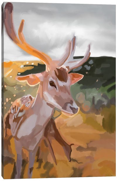 Deer Canvas Art Print - Amelia Noyes