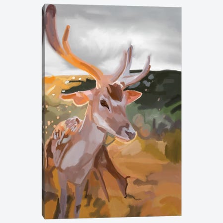 Deer Canvas Print #NOY35} by Amelia Noyes Art Print