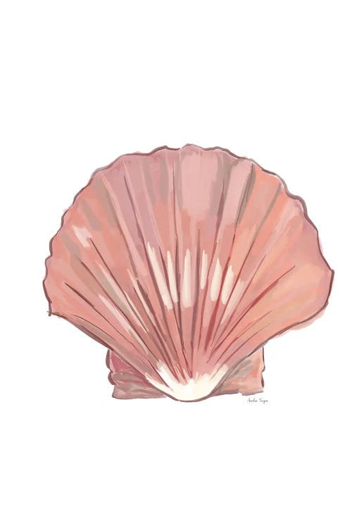 Seashell by Amelia Noyes wall art