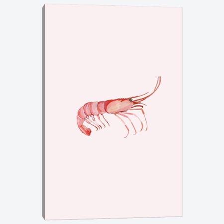 Shrimp Canvas Print #NOY96} by Amelia Noyes Canvas Print