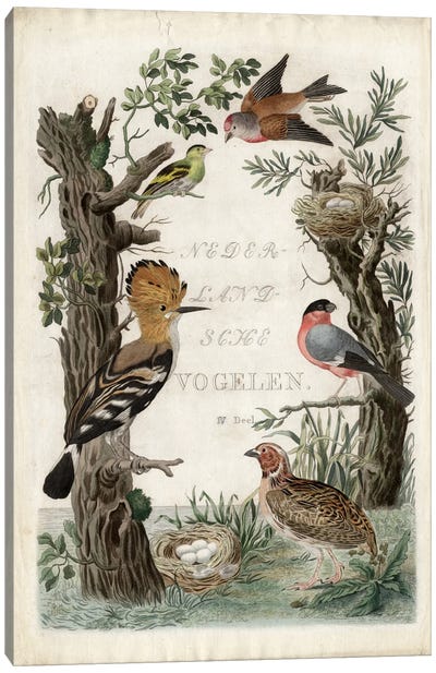 Woodpecker Sanctuary Canvas Art Print