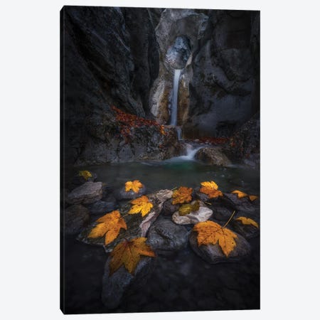 Autumn Leaves In The Gorge... Canvas Print #NPA2} by Nina Pauli Canvas Art Print
