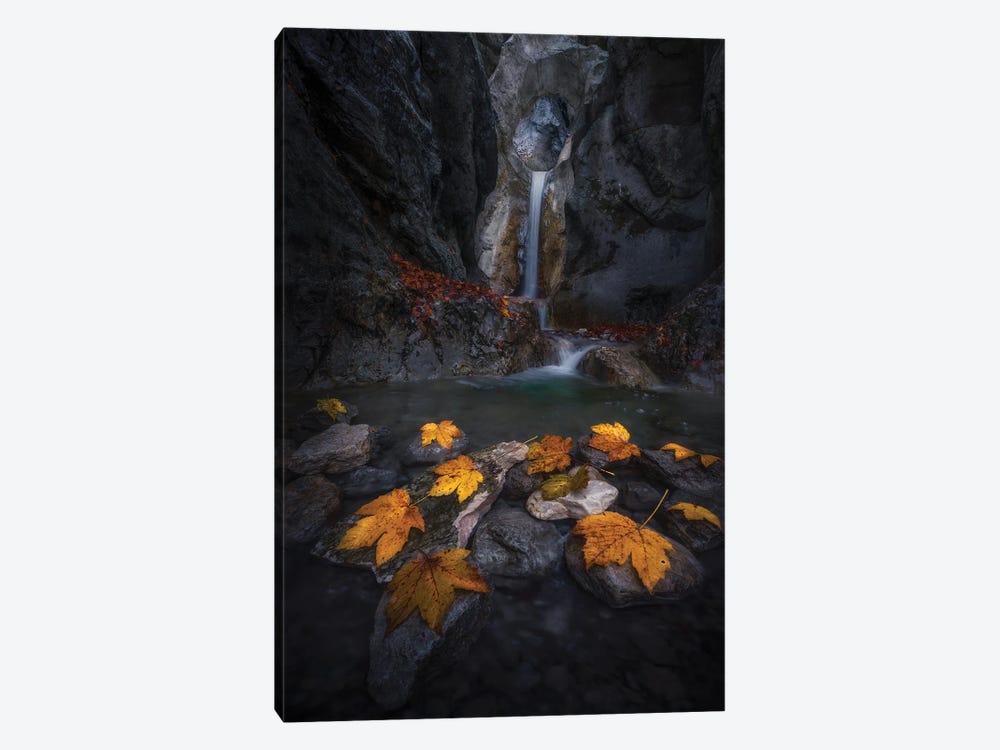 Autumn Leaves In The Gorge... by Nina Pauli 1-piece Canvas Art