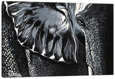 Mighty Elephant Canvas Art Print - Nigel Perreira