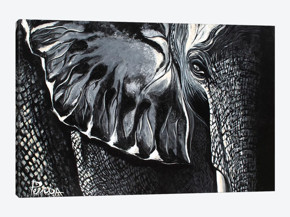 Mighty Elephant by Nigel Perreira 1-piece Canvas Art Print