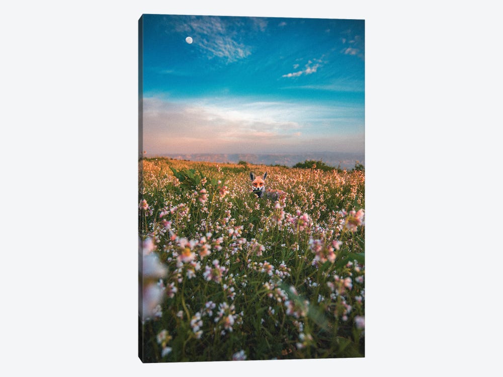 Flower Child by Nirs Photography 1-piece Canvas Print