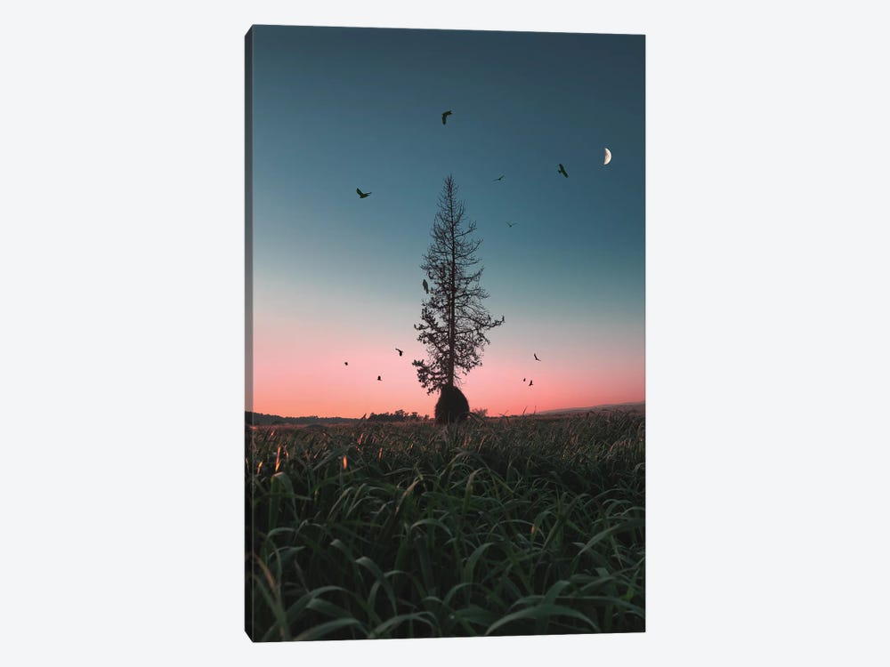 Giving Tree by Nirs Photography 1-piece Canvas Art