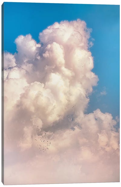 Above All Canvas Art Print - Nirs Photography