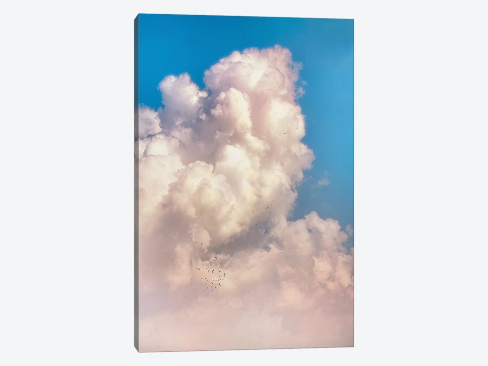 Above All by Nirs Photography 1-piece Canvas Art