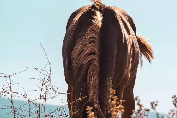 Nirs Photography: Hidding by Nirs Photography