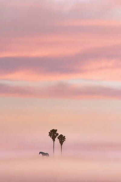 Just Another Sunset by Nirs Photography framed wall art