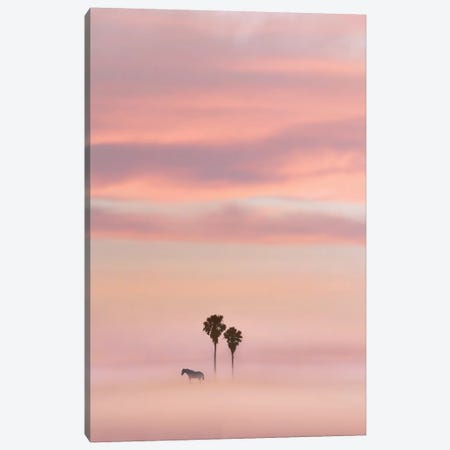 Just Another Sunset Canvas Print #NPH24} by Nirs Photography Canvas Wall Art